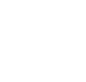 Higgs Group 300x284