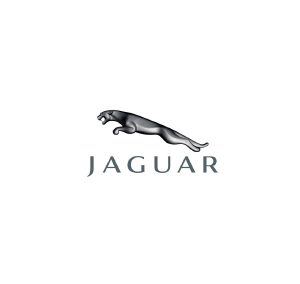 JaguarS 300x284